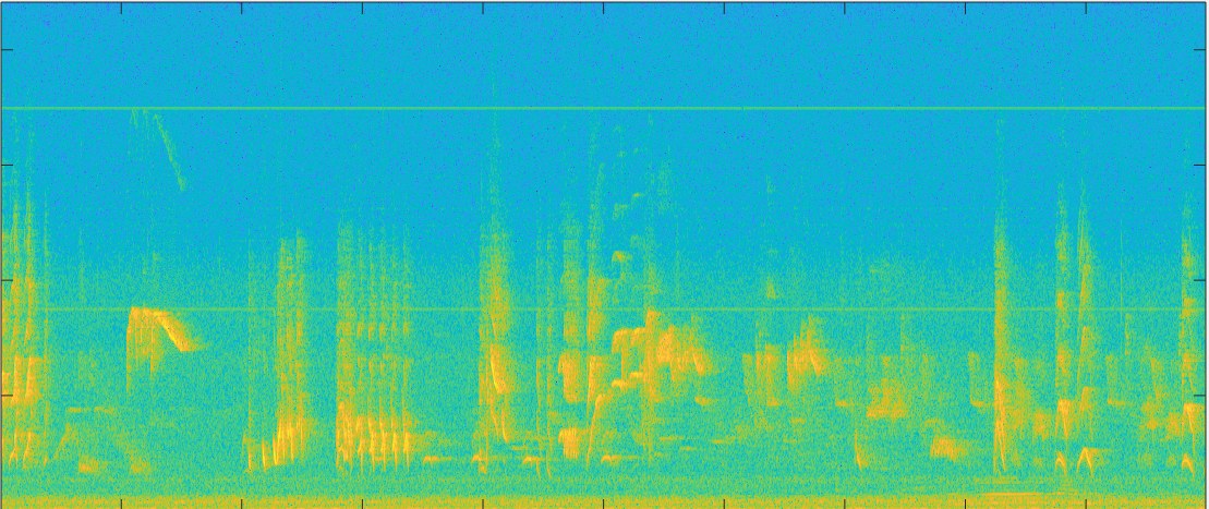 Bird Audio Detection (DCASE 2018)